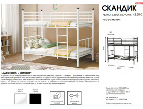 Кровать двухъярусная Скандик 42.20-01 в Заводоуковске - zavodoukovsk.magazinmebel.ru | фото - изображение 2
