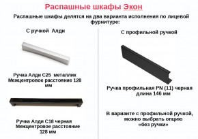 Шкаф для одежды со штангой Экон ЭШ1-РП-23-4-R с зеркалом в Заводоуковске - zavodoukovsk.magazinmebel.ru | фото - изображение 2